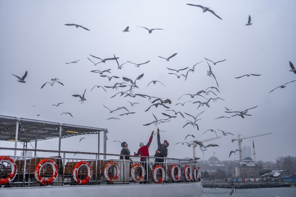  Lapa lapa yağdı, her yer beyaza büründü