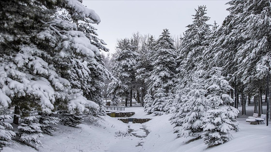 MARDİN ARTUKLU ÜNİVERSİTESİ