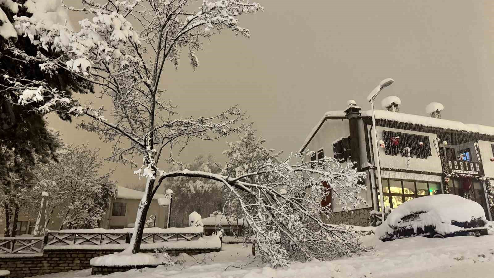 DİCLE ÜNİVERSİTESİ