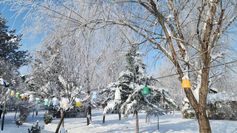 Türkiyenin en soğuk yeri oldu O ilçe eksi 39.7 dereceyi gördü