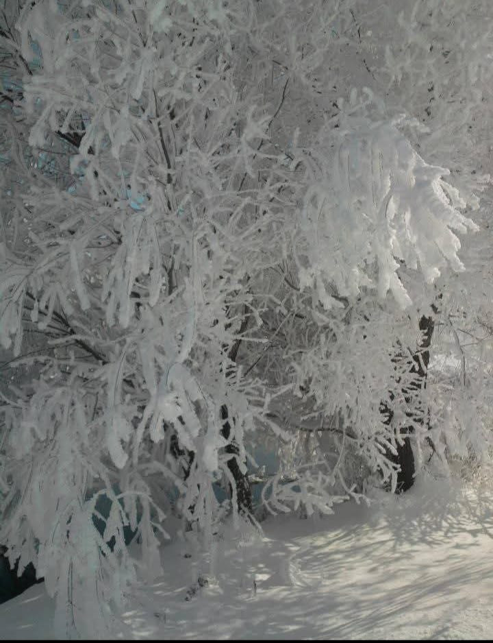 Türkiyenin en soğuk yeri oldu O ilçe eksi 39.7 dereceyi gördü Türkiyenin en soğuk yeri oldu O ilçe eksi 39.7 dereceyi gördü