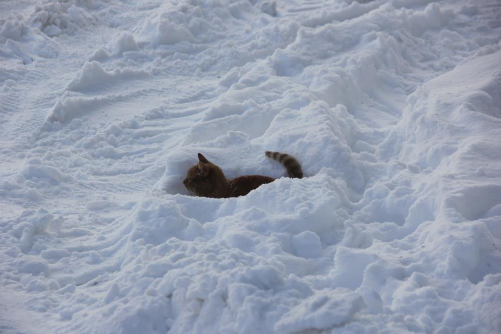 Türkiyenin en soğuk yeri oldu O ilçe eksi 39.7 dereceyi gördü Türkiyenin en soğuk yeri oldu O ilçe eksi 39.7 dereceyi gördü