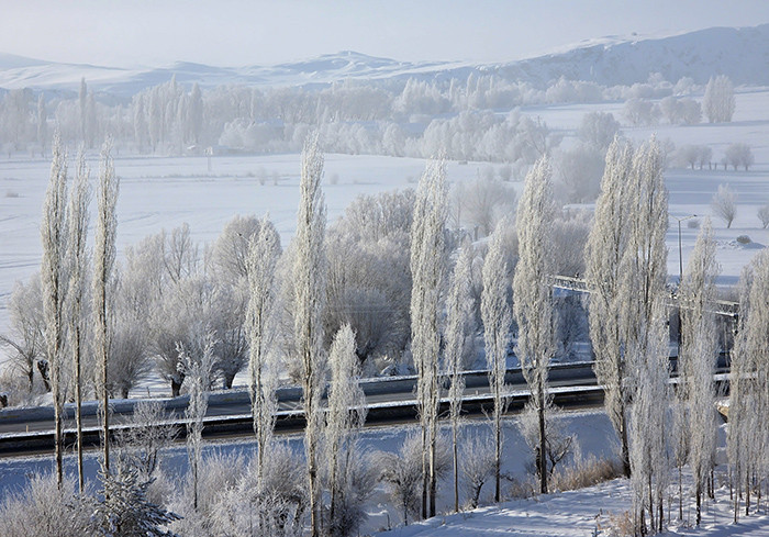 Türkiyenin en soğuk yeri oldu O ilçe eksi 39.7 dereceyi gördü Türkiyenin en soğuk yeri oldu O ilçe eksi 39.7 dereceyi gördü