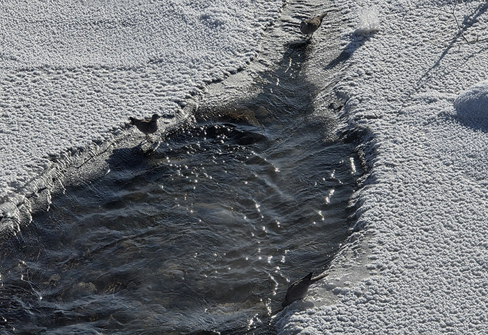 Türkiyenin en soğuk yeri oldu O ilçe eksi 39.7 dereceyi gördü Türkiyenin en soğuk yeri oldu O ilçe eksi 39.7 dereceyi gördü