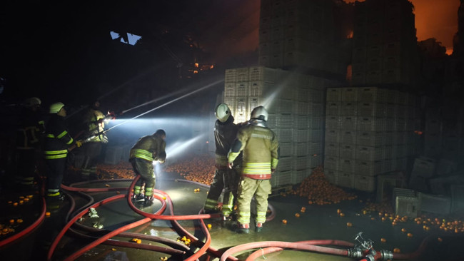 Hatay'da narenciye tesisinde yangın: 60 işçi tahliye edildi, 1 işçi hayatını kaybetti