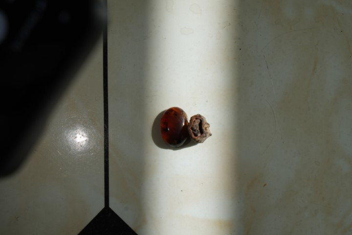  Doğadan topladığı taşın içinden çıktı | Laboratuvar incelemesine göndereceğim