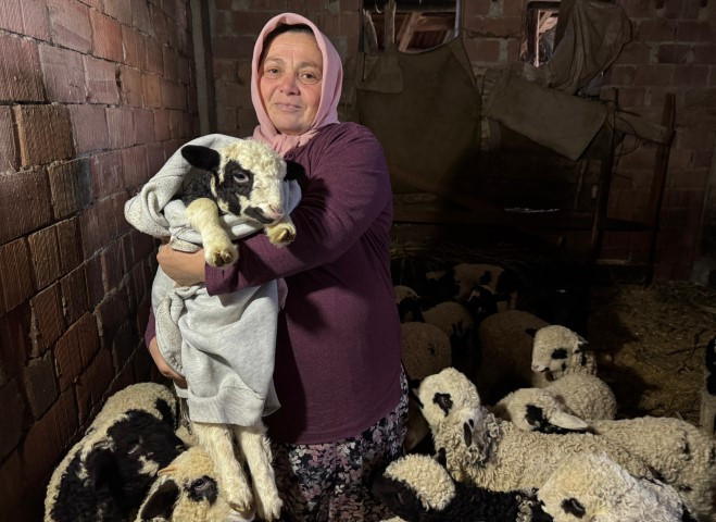 Adını Kıvırcık koydukları kuzuya evde bebek gibi bakıyorlar
