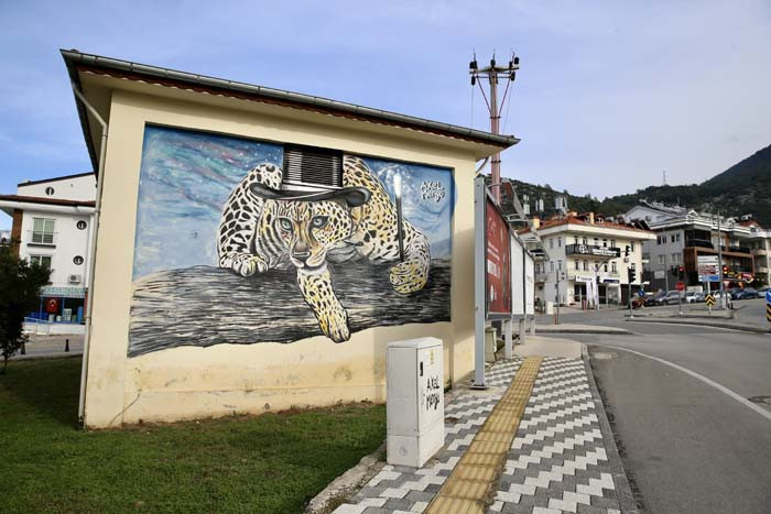 İlk kez yıllar önce geldi: Kendi imkanlarıyla yapmaya başladı Sabah uyanınca fark etmiş, hala bana soruyorlar
