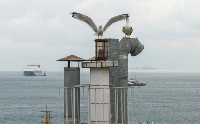  Çocuğuna miras bıraktı Bacadakine sahip çıkacağım