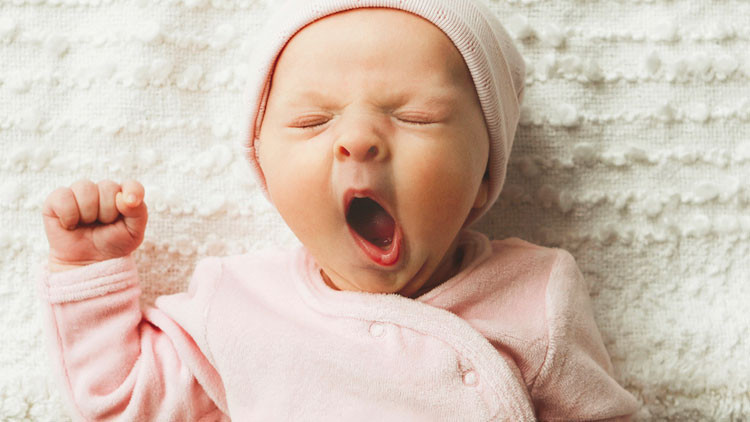 Ödüllü hoca Meclis’te anlattı... 1500 bebek bağımlı doğdu