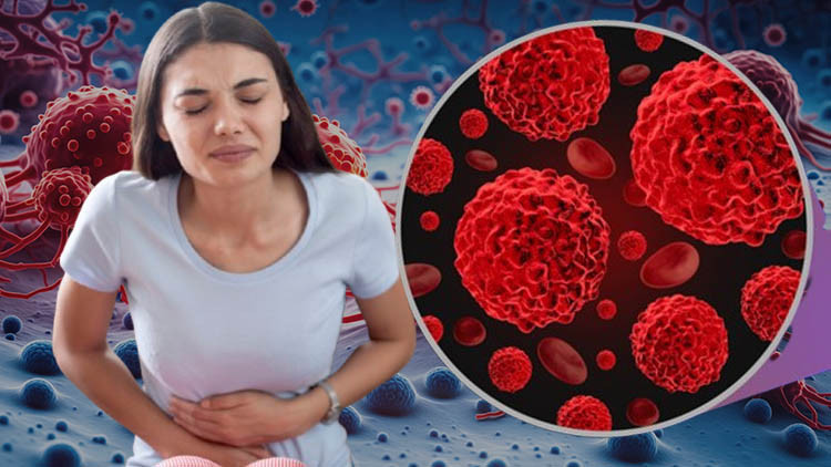 1950’lerden beri bodrumda saklanan sır! Gençlerdeki kanser artışının çözümünü barındırıyor olabilir mi?