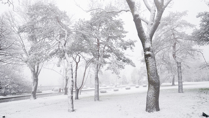 Kar yağışı başladı, tatil haberleri art arda geldi İşte 12 Ocak Pazartesi günü okulların tatil edildiği il ve ilçeler...
