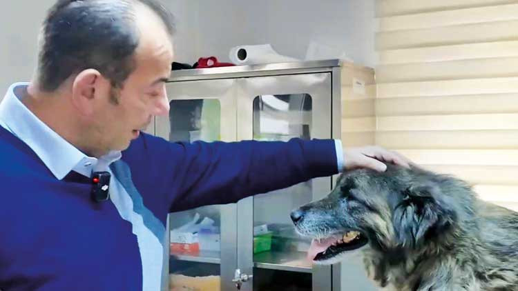 Acı üstüne acı çekmiş