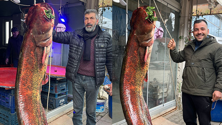 Ankara'daki gölde yakalandı | Güçlükle çıkardılar: 2 metre uzunluğunda 85 kilo ağırlığında