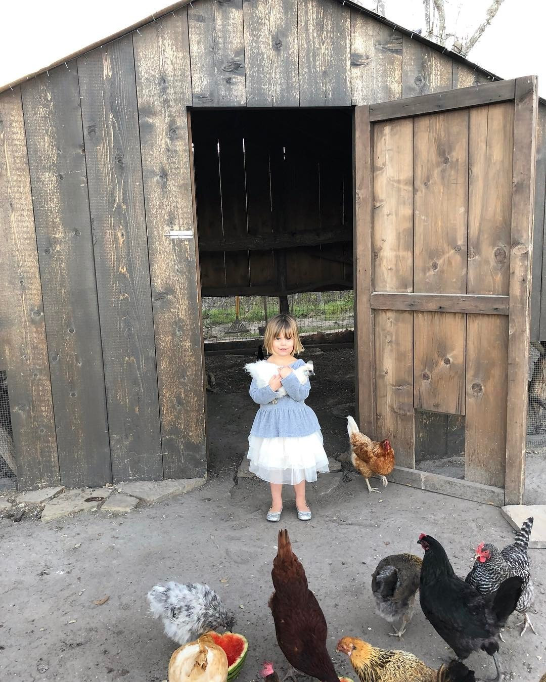 Büyük şehirden kaçıp dağ kasabasına taşındılar… Gerçek mutluluk buymuş ‘Çocuklarımız için yaptık’