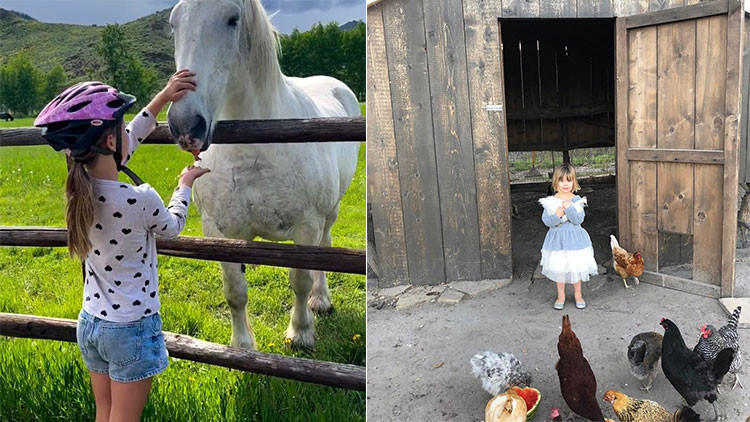 Büyük şehirden kaçıp dağ kasabasına taşındılar… Gerçek mutluluk buymuş! ‘Çocuklarımız için yaptık’