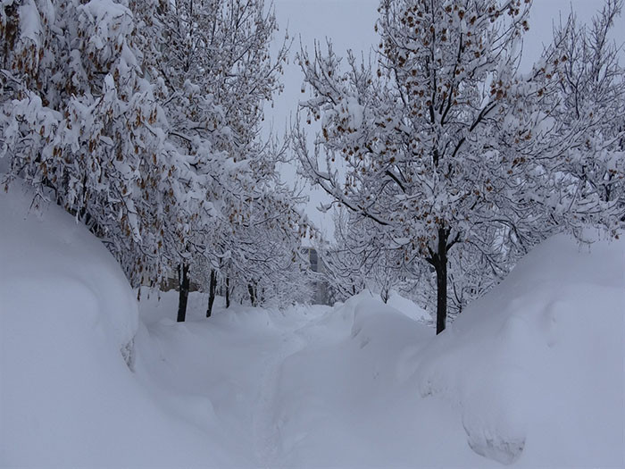  Böyle bir kar yağışı görmemiştik