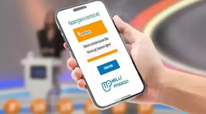 SÜPER LOTO SONUÇ SORGULAMA