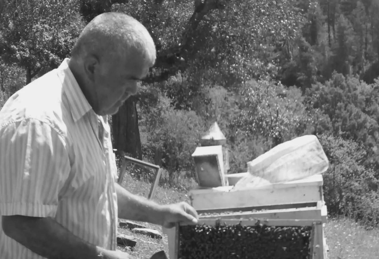 Ağaç kesme faciası: Ezilerek hayatını kaybetti!