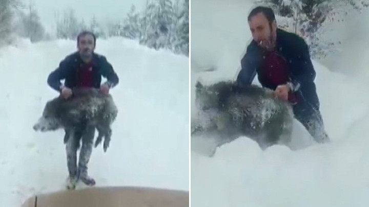 Sosyal medyada gündem olmuştu! Sinop'ta yavru domuzu elleriyle yakalayan kişiye 15 bin lira ceza