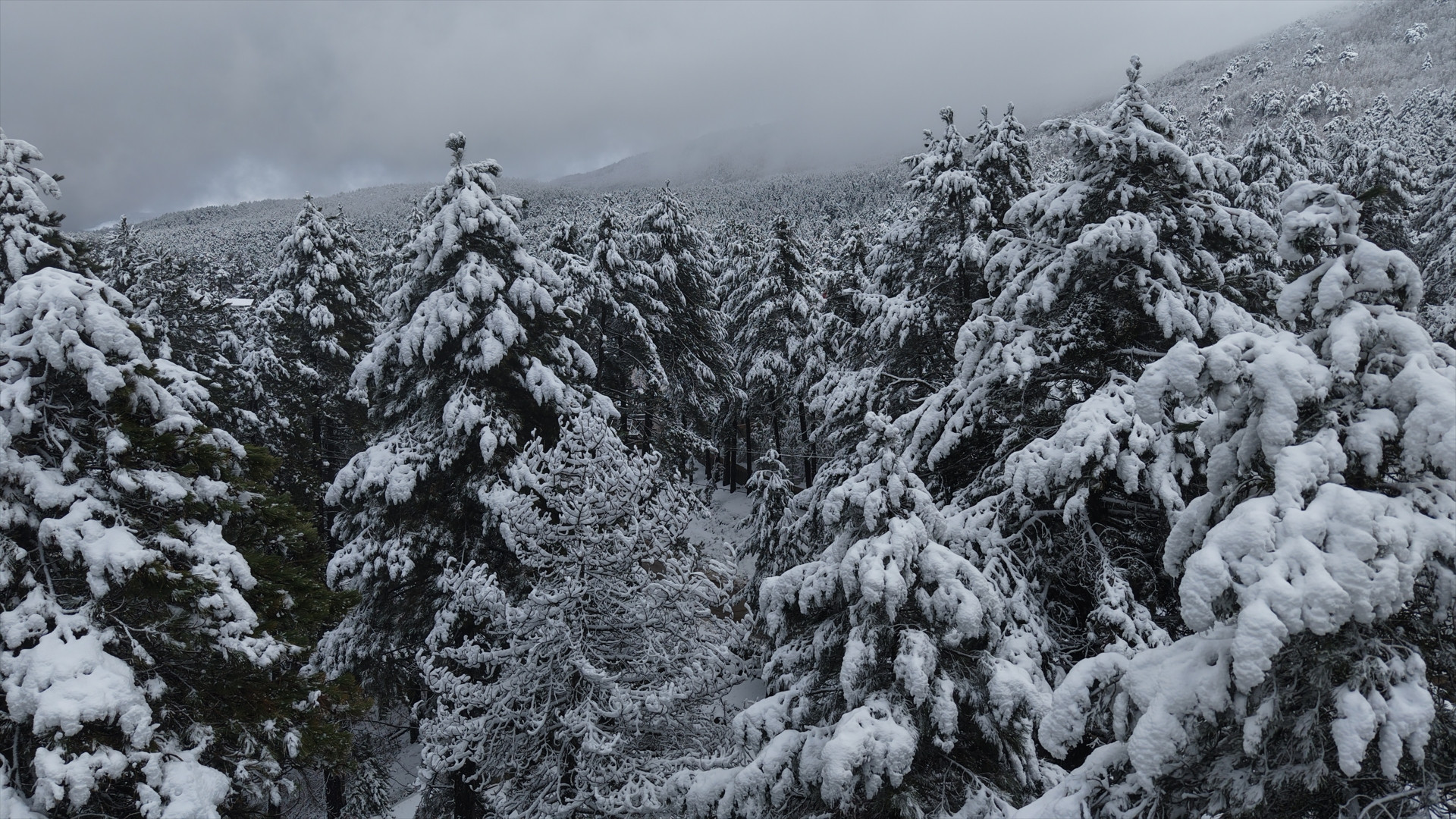 Kar ve sis bulutlarının büyüleyici görüntüsü Manzarayı görmek için bölgeye akın ettiler