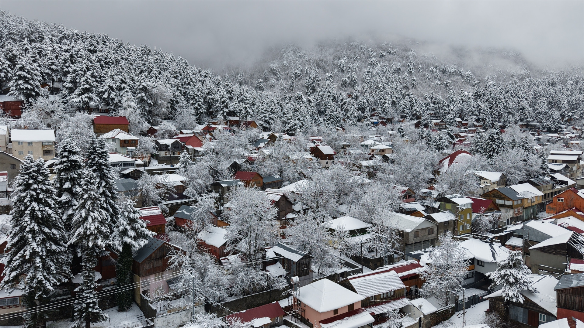 Kar ve sis bulutlarının büyüleyici görüntüsü! Manzarayı görmek için bölgeye akın ettiler