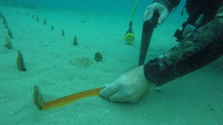 Çanakkale Boğazı santim santim ölçülüyor: Bir yıl içinde 30 santimetreye ulaştı Adeta birer mezarlığa dönüştüğünü gördük Çanakkale Boğazı santim santim ölçülüyor: Bir yıl içinde 30 santimetreye ulaştı Adeta birer mezarlığa dönüştüğünü gördük