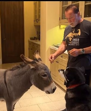 ARNOLD SCHWARZENEGGER