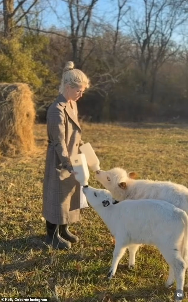 Lüks evlerini bırakıp doğaya kaçtılar… Çiftlikte huzurlu yaşam