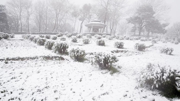 19 Ocak tatil mi, idari izin mi Bugün üniversiteler tatil mi oldu Son dakika İstanbul kar yağışı idari izin olan iller....