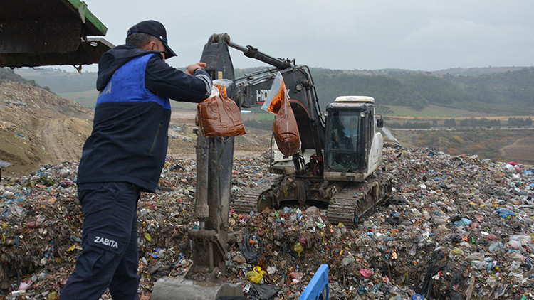 Otobüs bagajında taşıdılar! Zabıta ekipleri otogarda ele geçirdi, hepsi imha edildi