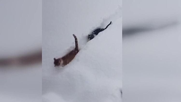 Köy imamının çektiği video sosyal medyada büyük beğeni topladı