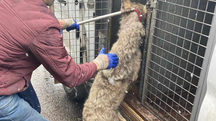 Lastikçiye girdi, vatandaşların yüreği ağzına geldi