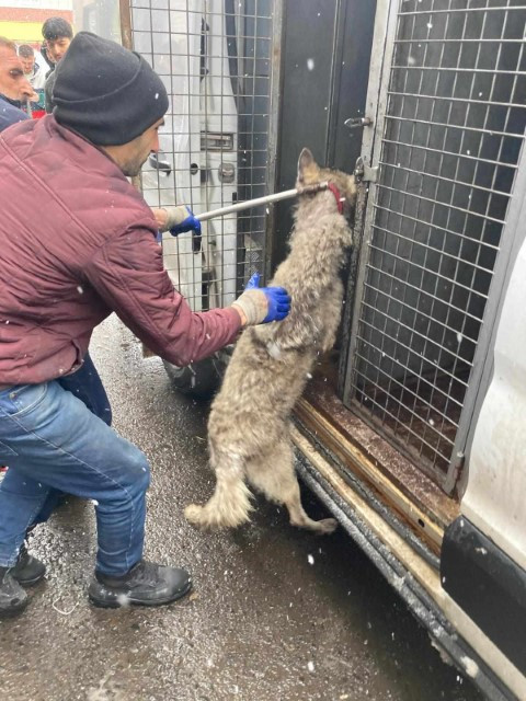 Lastikçiye girdi, vatandaşların yüreği ağzına geldi