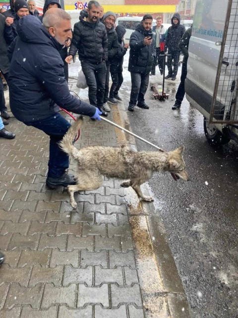 Lastikçiye girdi, vatandaşların yüreği ağzına geldi