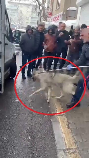 Lastikçiye girdi, vatandaşların yüreği ağzına geldi