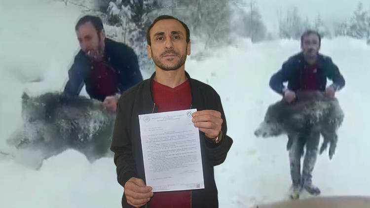 Görüntüsü viral olduktan sonra büyük şok yaşamıştı: Domuzu yakalayan vatandaşla ilgili yeni karar