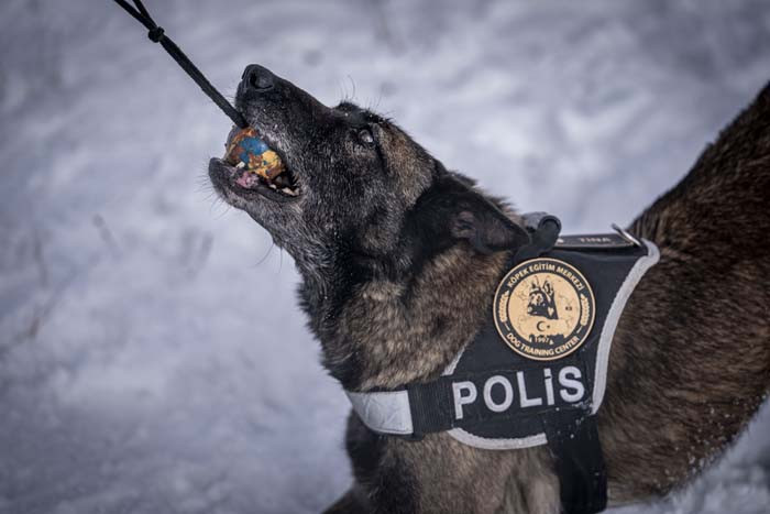 Türkiyenin en soğuk ilinde eğitim alıyorlar: İhtiyaç duyulduğunda gönderiyorlar Merkezi konumda olması sebebiyle burayı seçtik