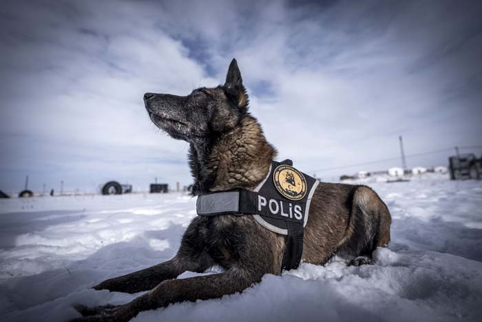 Türkiyenin en soğuk ilinde eğitim alıyorlar: İhtiyaç duyulduğunda gönderiyorlar Merkezi konumda olması sebebiyle burayı seçtik