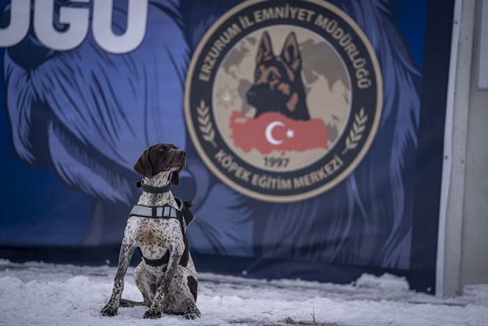 Türkiyenin en soğuk ilinde eğitim alıyorlar: İhtiyaç duyulduğunda gönderiyorlar Merkezi konumda olması sebebiyle burayı seçtik