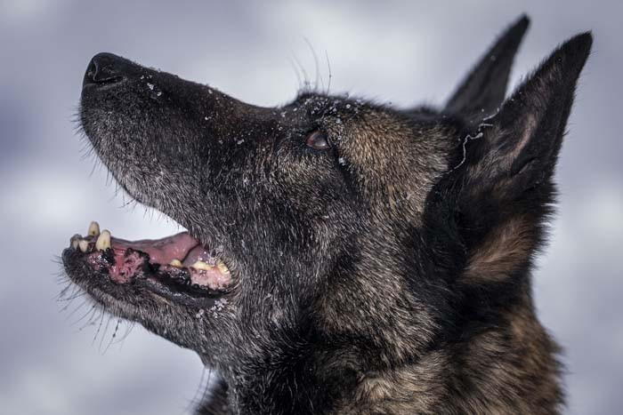 Türkiyenin en soğuk ilinde eğitim alıyorlar: İhtiyaç duyulduğunda gönderiyorlar Merkezi konumda olması sebebiyle burayı seçtik
