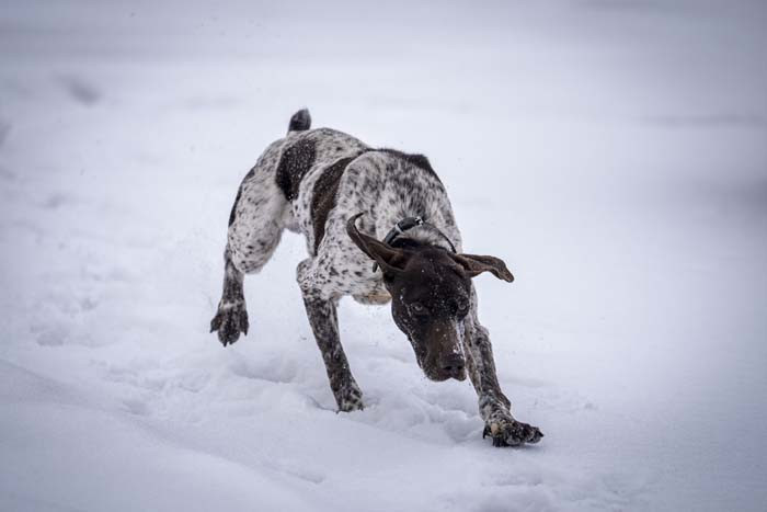 Türkiyenin en soğuk ilinde eğitim alıyorlar: İhtiyaç duyulduğunda gönderiyorlar Merkezi konumda olması sebebiyle burayı seçtik