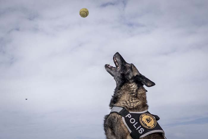 Türkiyenin en soğuk ilinde eğitim alıyorlar: İhtiyaç duyulduğunda gönderiyorlar Merkezi konumda olması sebebiyle burayı seçtik