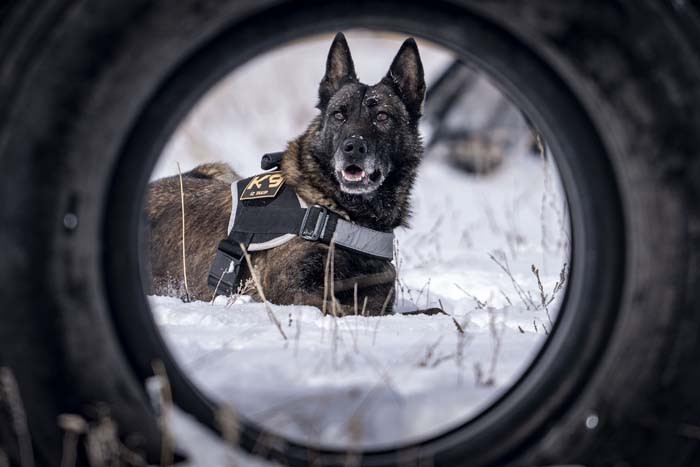 Türkiyenin en soğuk ilinde eğitim alıyorlar: İhtiyaç duyulduğunda gönderiyorlar Merkezi konumda olması sebebiyle burayı seçtik