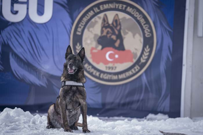 Türkiyenin en soğuk ilinde eğitim alıyorlar: İhtiyaç duyulduğunda gönderiyorlar Merkezi konumda olması sebebiyle burayı seçtik