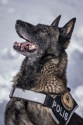 Türkiyenin en soğuk ilinde eğitim alıyorlar: İhtiyaç duyulduğunda gönderiyorlar Merkezi konumda olması sebebiyle burayı seçtik