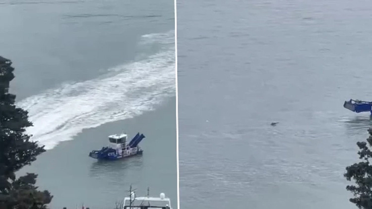 Nikolai Svechnikov kimdir, ne zaman ve nerede öldü İstanbul Boğazında bulunan gizemli ceset kime ait