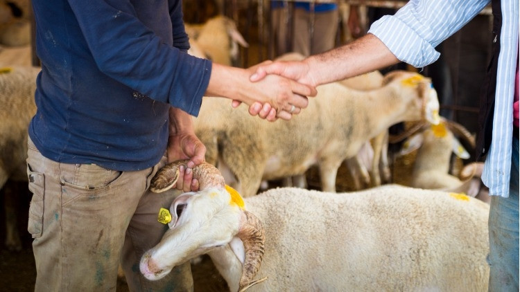 KURBAN BAYRAMI 2026 NE ZAMAN