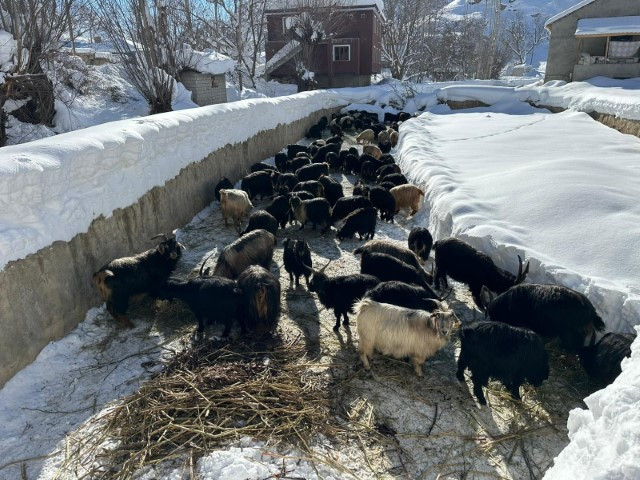  Burada kış çok zor geçiyor