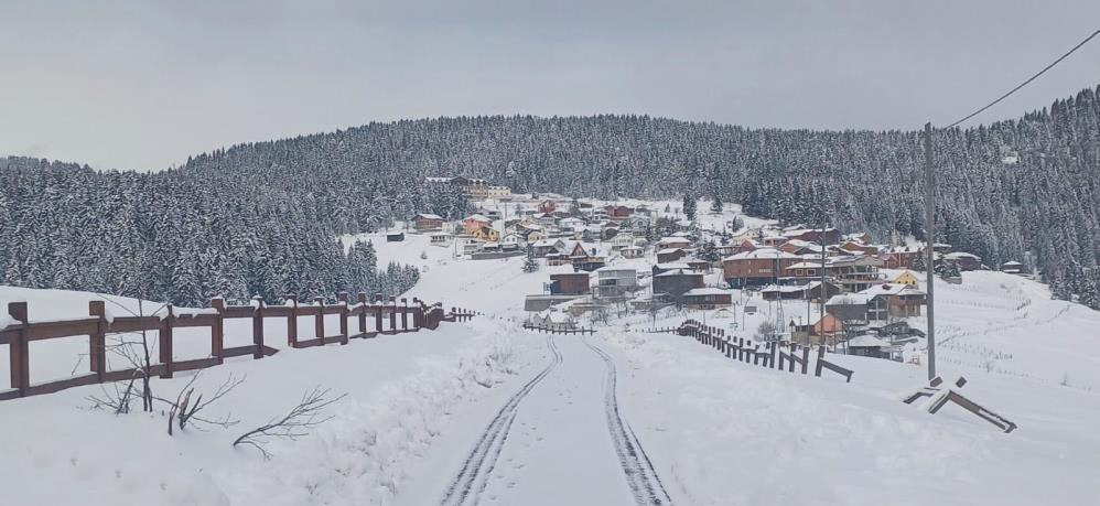 Türkiyenin en soğuk ilçesi belli oldu: Sıfırın altında 32.7 derece ölçüldü 4 metre uzunluğunda buz sarkıtları oluştu